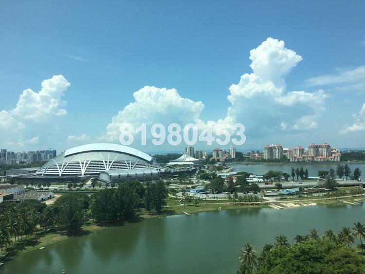 The Riverine By The Park (D12), Apartment #163391062